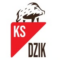 KS Dzik
